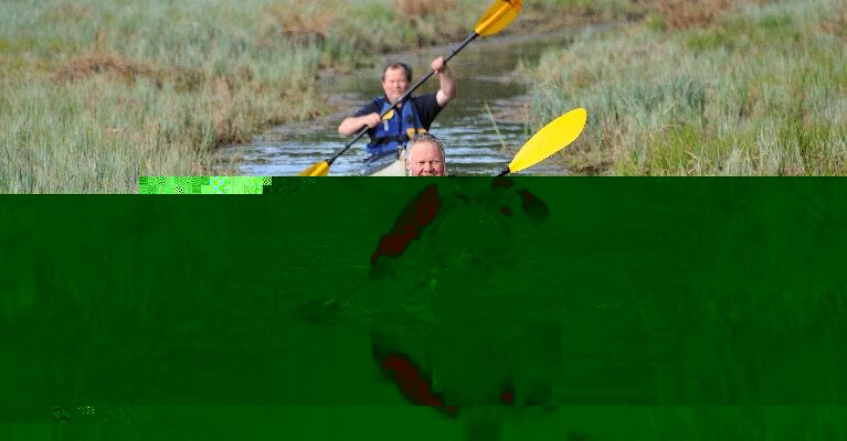 Padling for nettbrett og pc